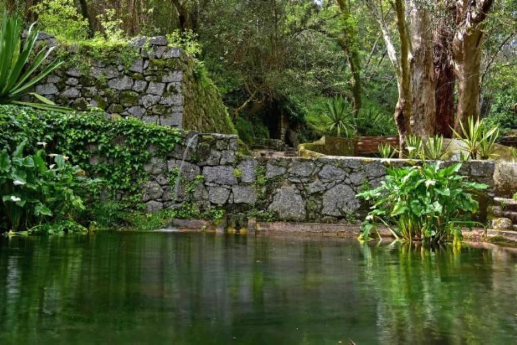 Casa Citrus Limao - Between The Hills & The Ocean Сілвеш Екстер'єр фото