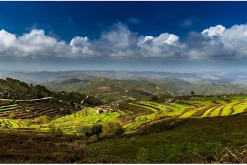 Casa Citrus Limao - Between The Hills & The Ocean Сілвеш Екстер'єр фото